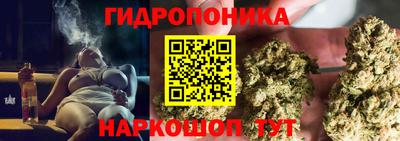 a pvp Кингисепп