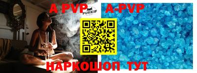 a pvp Кингисепп